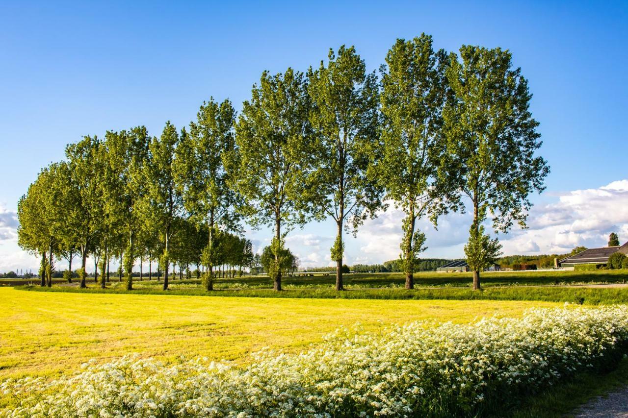 Van Doremaele Luxury Guesthouse Velddriel 외부 사진